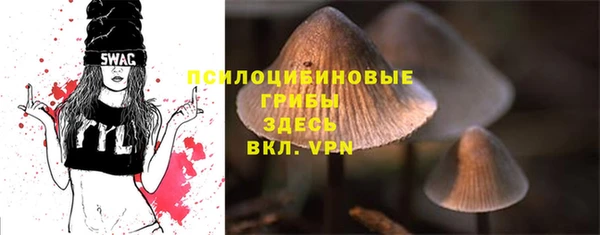 ПСИЛОЦИБИНОВЫЕ ГРИБЫ Армянск