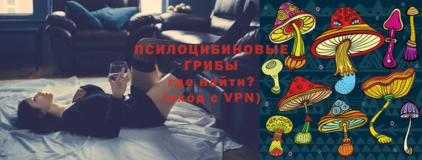 прущий лед Арсеньев